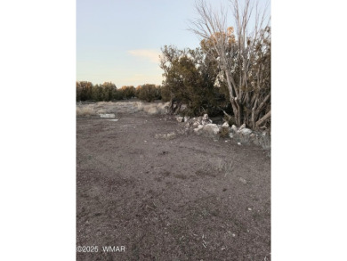 This .23 acre lot is located in the White Mountain Lakes area on Silver Creek Golf Club in Arizona - for sale on GolfHomes.com, golf home, golf lot