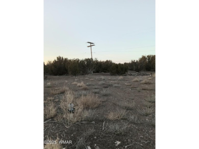 This .23 acre lot is located in the White Mountain Lakes area on Silver Creek Golf Club in Arizona - for sale on GolfHomes.com, golf home, golf lot