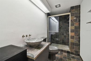 Two Bedroom/Two Bath *C* Unit-     Sparkling and unobstructed on Innisbrook Resort and Golf Club in Florida - for sale on GolfHomes.com, golf home, golf lot