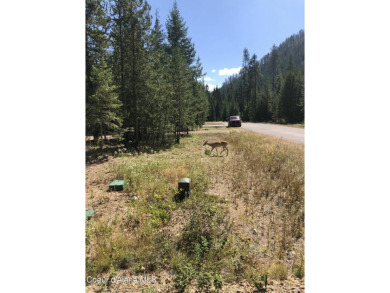 Nice level lot in Marvin Estates, close to shopping, golf course on Priest Lake Golf and Tennis Club in Idaho - for sale on GolfHomes.com, golf home, golf lot