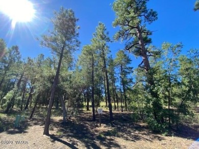 New Release in Torreon!!!! TORREON LAKES, come take a look at on Torreon Golf Club in Arizona - for sale on GolfHomes.com, golf home, golf lot