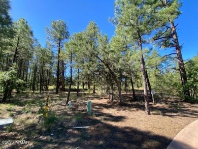 New Release in Torreon!!!! TORREON LAKES, come take a look at on Torreon Golf Club in Arizona - for sale on GolfHomes.com, golf home, golf lot