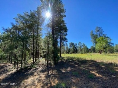New Release in Torreon!!!! TORREON LAKES, come take a look at on Torreon Golf Club in Arizona - for sale on GolfHomes.com, golf home, golf lot