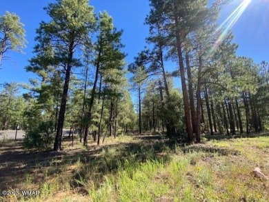New Release in Torreon!!!! TORREON LAKES, come take a look at on Torreon Golf Club in Arizona - for sale on GolfHomes.com, golf home, golf lot