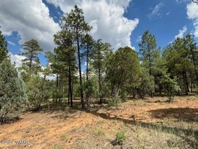 New Release in Torreon!!!! TORREON LAKES, come take a look at on Torreon Golf Club in Arizona - for sale on GolfHomes.com, golf home, golf lot