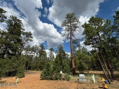 New Release in Torreon!!!! TORREON LAKES, come take a look at on Torreon Golf Club in Arizona - for sale on GolfHomes.com, golf home, golf lot