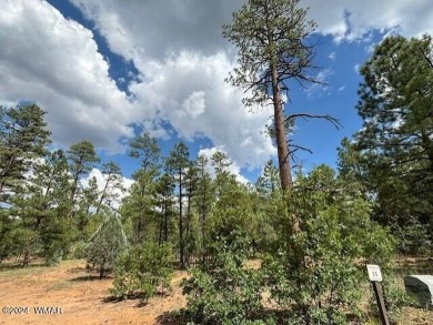 New Release in Torreon!!!! TORREON LAKES, come take a look at on Torreon Golf Club in Arizona - for sale on GolfHomes.com, golf home, golf lot