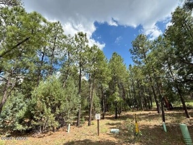 New Release in Torreon!!!! TORREON LAKES, come take a look at on Torreon Golf Club in Arizona - for sale on GolfHomes.com, golf home, golf lot