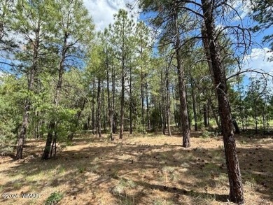 New Release in Torreon!!!! TORREON LAKES, come take a look at on Torreon Golf Club in Arizona - for sale on GolfHomes.com, golf home, golf lot
