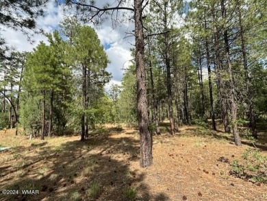 New Release in Torreon!!!! TORREON LAKES, come take a look at on Torreon Golf Club in Arizona - for sale on GolfHomes.com, golf home, golf lot