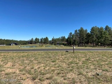 New Release in Torreon!!!! TORREON LAKES, come take a look at on Torreon Golf Club in Arizona - for sale on GolfHomes.com, golf home, golf lot