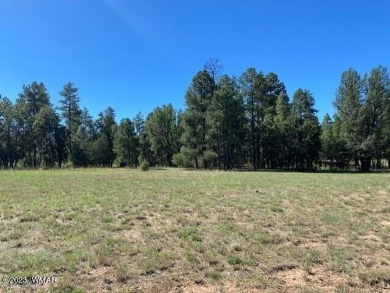 New Release in Torreon!!!! TORREON LAKES, come take a look at on Torreon Golf Club in Arizona - for sale on GolfHomes.com, golf home, golf lot