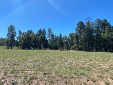 New Release in Torreon!!!! TORREON LAKES, come take a look at on Torreon Golf Club in Arizona - for sale on GolfHomes.com, golf home, golf lot