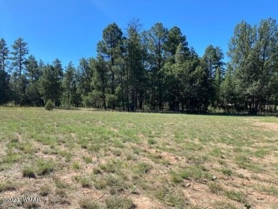 New Release in Torreon!!!! TORREON LAKES, come take a look at on Torreon Golf Club in Arizona - for sale on GolfHomes.com, golf home, golf lot