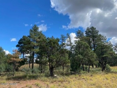 New Release in Torreon!!!! TORREON LAKES, come take a look at on Torreon Golf Club in Arizona - for sale on GolfHomes.com, golf home, golf lot