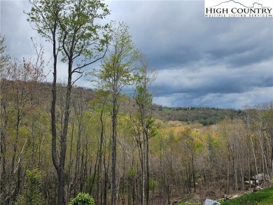 This is a beautiful, relatively level lot with awesome long on Elk River Club in North Carolina - for sale on GolfHomes.com, golf home, golf lot