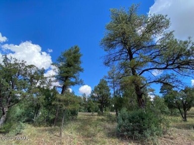 New Release in Torreon!!!! TORREON LAKES, come take a look at on Torreon Golf Club in Arizona - for sale on GolfHomes.com, golf home, golf lot