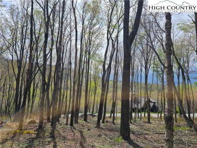 This is a beautiful, relatively level lot with awesome long on Elk River Club in North Carolina - for sale on GolfHomes.com, golf home, golf lot