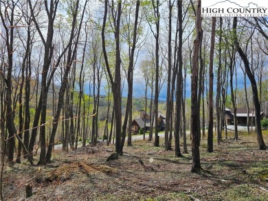 This is a beautiful, relatively level lot with awesome long on Elk River Club in North Carolina - for sale on GolfHomes.com, golf home, golf lot