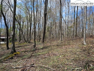 This is a beautiful, relatively level lot with awesome long on Elk River Club in North Carolina - for sale on GolfHomes.com, golf home, golf lot