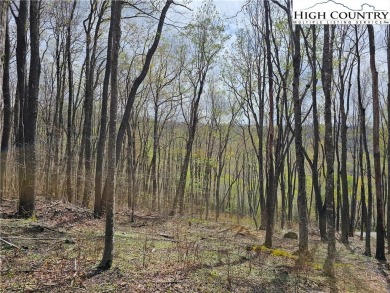 This is a beautiful, relatively level lot with awesome long on Elk River Club in North Carolina - for sale on GolfHomes.com, golf home, golf lot