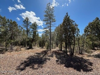 New Release in Torreon!!!! TORREON LAKES, come take a look at on Torreon Golf Club in Arizona - for sale on GolfHomes.com, golf home, golf lot