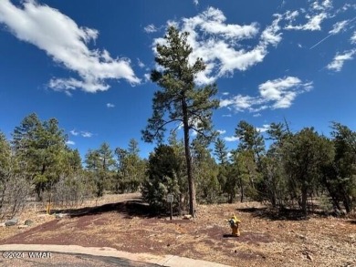New Release in Torreon!!!! TORREON LAKES, come take a look at on Torreon Golf Club in Arizona - for sale on GolfHomes.com, golf home, golf lot