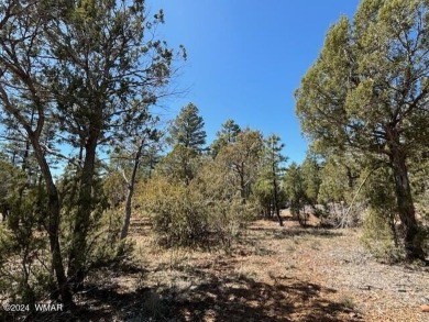 New Release in Torreon!!!! TORREON LAKES, come take a look at on Torreon Golf Club in Arizona - for sale on GolfHomes.com, golf home, golf lot