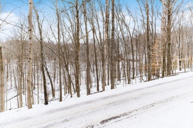 Don't miss out on this stunning seasonal lake views that this on Hide-A-Way Hills Golf Club in Ohio - for sale on GolfHomes.com, golf home, golf lot