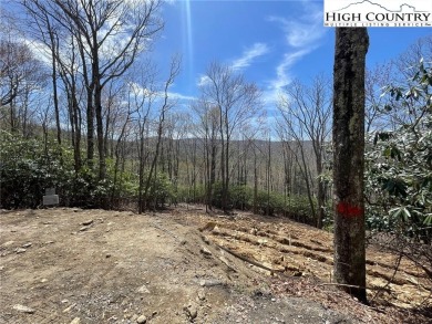 Log Cabin in Prime Beech Mountain Location - Available Summer on Beech Mountain Club in North Carolina - for sale on GolfHomes.com, golf home, golf lot