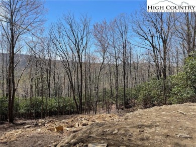 Log Cabin in Prime Beech Mountain Location - Available Summer on Beech Mountain Club in North Carolina - for sale on GolfHomes.com, golf home, golf lot