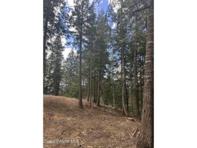 Beautiful 1 Acre Building Site , Located on The Moose Mountain on The Idaho Club in Idaho - for sale on GolfHomes.com, golf home, golf lot