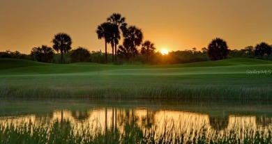 SELLER WILL CARRY THE NOTE FOR UP TO 10 YEARS WITH $25,000 DOWN on Sandpiper Golf Club in Florida - for sale on GolfHomes.com, golf home, golf lot