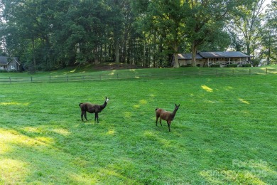 This Charming Home Sits On A Beautifully Landscaped 1+Acre Lot on Laurel Ridge Country Club in North Carolina - for sale on GolfHomes.com, golf home, golf lot