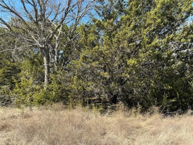 This lot is located overlooking the fairway on #1 of the Old on White Bluff Resort - Old Course in Texas - for sale on GolfHomes.com, golf home, golf lot