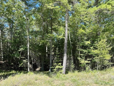 Spacious building site in Hemlock Views just west of Manistique on Stoney Point Golf Course in Michigan - for sale on GolfHomes.com, golf home, golf lot