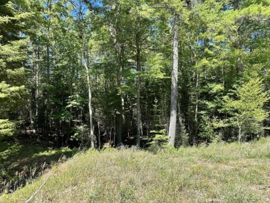 Spacious building site in Hemlock Views just west of Manistique on Stoney Point Golf Course in Michigan - for sale on GolfHomes.com, golf home, golf lot