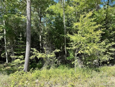 Spacious building site in Hemlock Views just west of Manistique on Stoney Point Golf Course in Michigan - for sale on GolfHomes.com, golf home, golf lot