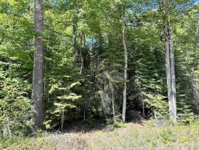 Spacious building site in Hemlock Views just west of Manistique on Stoney Point Golf Course in Michigan - for sale on GolfHomes.com, golf home, golf lot