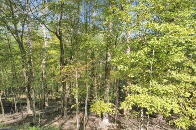 Fantastic building site on over 1.5 acres in Hideaway Hills on Hide-A-Way Hills Golf Club in Ohio - for sale on GolfHomes.com, golf home, golf lot