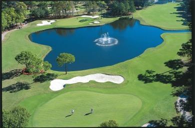 DELUXE EXECUTIVE SUITE A2 UNIT- This condo meets the 2019  hotel on Innisbrook Resort and Golf Club in Florida - for sale on GolfHomes.com, golf home, golf lot