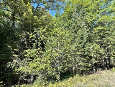 Spacious building site in Hemlock Views just west of Manistique on Stoney Point Golf Course in Michigan - for sale on GolfHomes.com, golf home, golf lot