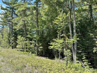 Spacious building site in Hemlock Views just west of Manistique on Stoney Point Golf Course in Michigan - for sale on GolfHomes.com, golf home, golf lot