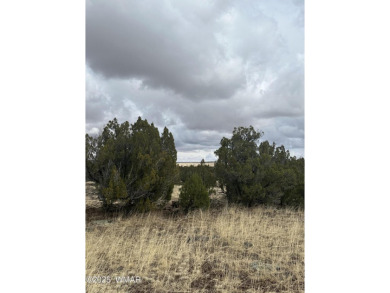 Beautiful 10 ACRES in the heart of White Mountain Lakes on Silver Creek Golf Club in Arizona - for sale on GolfHomes.com, golf home, golf lot