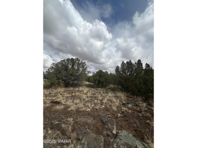Beautiful 10 ACRES in the heart of White Mountain Lakes on Silver Creek Golf Club in Arizona - for sale on GolfHomes.com, golf home, golf lot