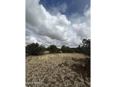 Beautiful 10 ACRES in the heart of White Mountain Lakes on Silver Creek Golf Club in Arizona - for sale on GolfHomes.com, golf home, golf lot