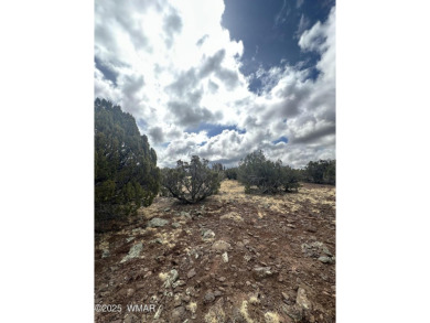 Beautiful 10 ACRES in the heart of White Mountain Lakes on Silver Creek Golf Club in Arizona - for sale on GolfHomes.com, golf home, golf lot