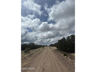 Beautiful 10 ACRES in the heart of White Mountain Lakes on Silver Creek Golf Club in Arizona - for sale on GolfHomes.com, golf home, golf lot