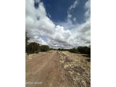Beautiful 10 ACRES in the heart of White Mountain Lakes on Silver Creek Golf Club in Arizona - for sale on GolfHomes.com, golf home, golf lot