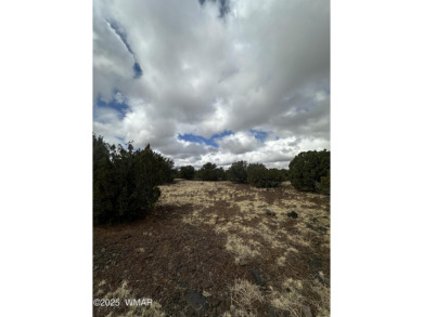 Beautiful 10 ACRES in the heart of White Mountain Lakes on Silver Creek Golf Club in Arizona - for sale on GolfHomes.com, golf home, golf lot